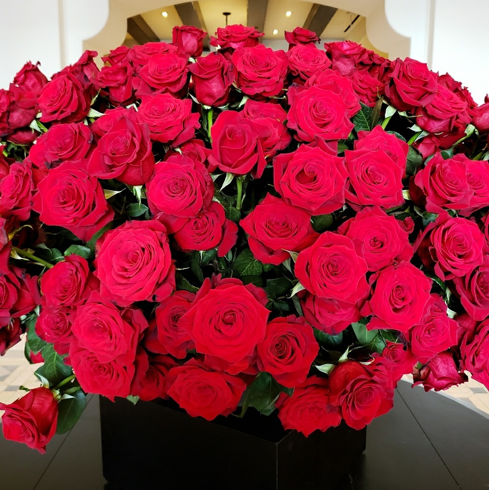 Meet your Posher, Tatiana